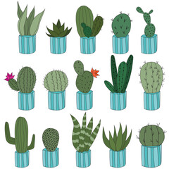 Set Cute doodle cacti in blue pots. Vector illustration with cute indoor plants. set of 15 plants