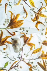 Golden skull on yellow flowers, memento mori concept