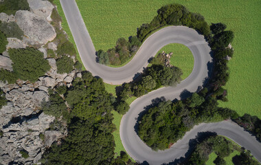 Winding road surrounded by trees, green lawns aerial view. Winding road in the mountains aerial view.