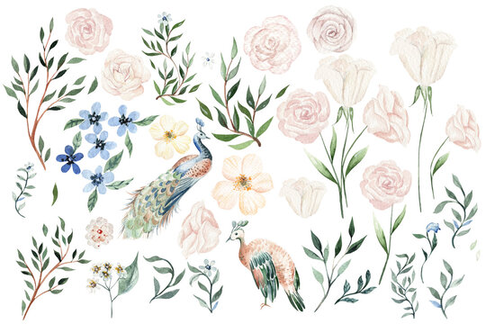 Watercolor set with different flowers and leaves. Illustration