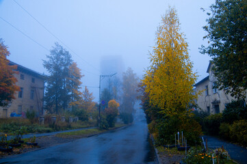 the street on a foggy autumn evening
