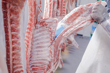 close-up of meat processing in the food industry, a worker cuts raw pork, the concept of meat...