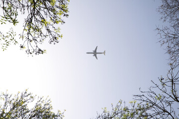 Plane crossing the sky of leaden or white colour. It can be seen between the branches of the trees of the city. Concept holidays and travels.