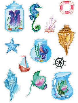 Sea life watercolor sticker.A set of illustrations of marine life. Seahorse, turtle, coral, shells on a white background. 