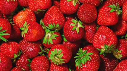 Strawberry. Background of fresh natural strawberry. Strawberry of different shapes.