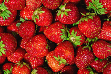 Strawberry. Background of fresh natural strawberry. Strawberry of different shapes.