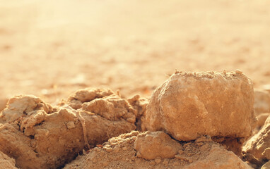 Environment disaster background. Dry soil and hard clay conditions cannot be planted. The ground in summer. The climate crisis is caused by heat waves.