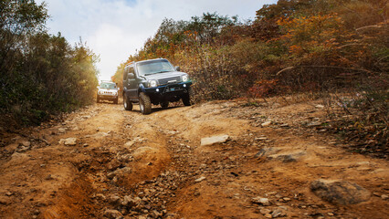 Off-road car moves on a rocky road. Travel by car in the taiga