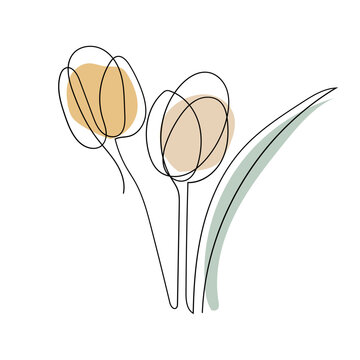 Tulip Flower Line Art. Contour Drawing. Minimalism Art.