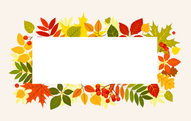 Autumn leaves background. Vector template.