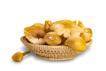 Pile of fresh natural termite mushroom in bamboo basket isolated on white background with clipping path.