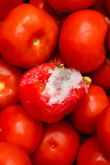 Tomatoes in store