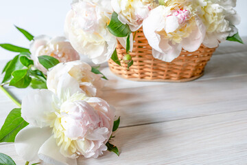 Beautiful fragrant peonies in a wicker basket on a white wooden table. Seasonal flowers as a gift...