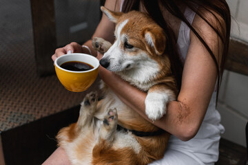 Cute corgi puppy in the arms of a girl with a cup of coffee 