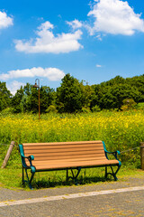 Obraz premium 公園に置かれた茶色のベンチ 