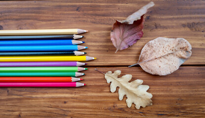 Colorful pencils and autumn leaves, back to school, fall background banner