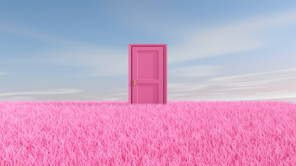 Door on meadow in the empty room with sky background. 3D illustration, 3D rendering	
