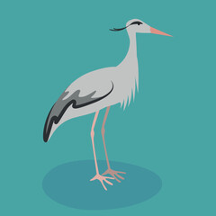 gray heron on green background