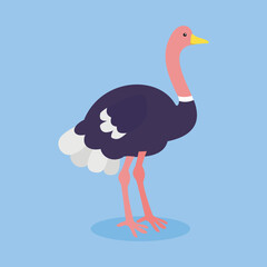 ostrich on a blue background