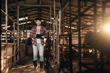 Asian man husbandry with digital tablet in cowshed   in cattle farm on the morning. Farmer use technology for livestock. Smart farming. Agriculture industrial.