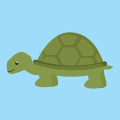 turtle on a blue background