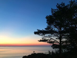 Evening by the Sea. Silhouette of a tree, and in the background a sunset over the water and a sky with a dusk