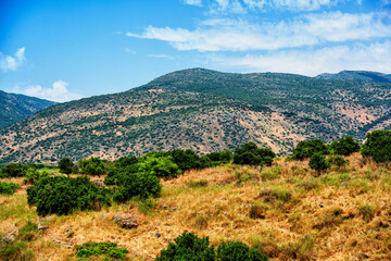 Fototapeta na wymiar Holy Land of Israel. View at Golan heights.