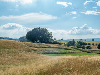 Fototapeta premium Landscape on the country in sunshine