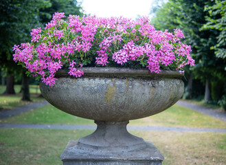 flower vase in garden of city Bueckeburg , Germany