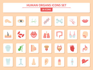 Set Of Human Organs Icons On Square Peach Background