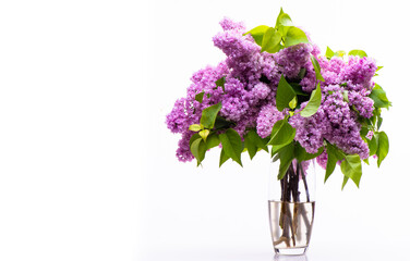 Beautiful spring bouquet of purple lilacs in a transparent glass vase isolated on white background