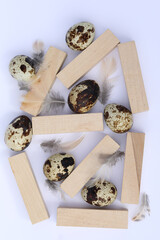 quail eggs on the white background with copy space