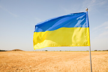 National flag of Ukraine in wheat field against blue sky, closeup