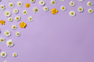 Many beautiful flowers on lilac background, flat lay. Space for text
