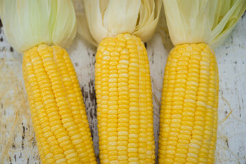 Corn, yellow corn
