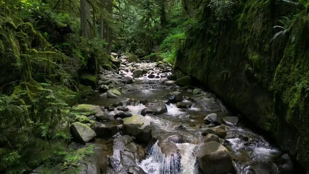 Drone footage of Cypress Creek, West Vancouver, BC, Canada flowing over rocks in a green forest