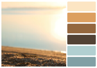 Color palette appropriate to photo of riverside at sunrise