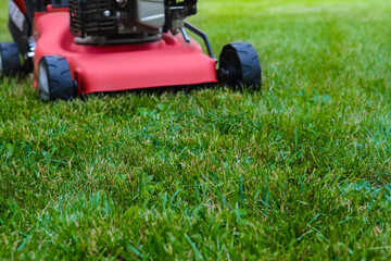 Modern garden lawn mower on green grass outdoors