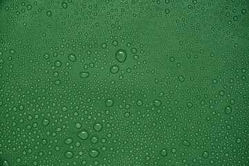 Water drops on green background.