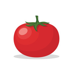 Fresh red tomatoes on a white background. Tasty vegetable. Can be used as emblem, logo, web print, sticker. Vector illustration.