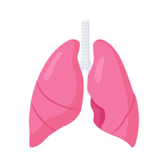 Pulmonology. Respiratory system. Human Internal organ. Lungs on white background. Anatomy, medicine concept. Healthcare