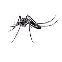 Chrom-Effekt Moskito 3D-Design auf weißem Hintergrund