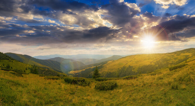 panoramic view in to valley. stunning landscape of carpathian mountains at sunset in summer. forested hills and grassy meadows beneath a bright blue sky in evening light