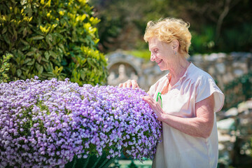 Elderly woman standing near a large flower pot with purple flowers and caring for plants