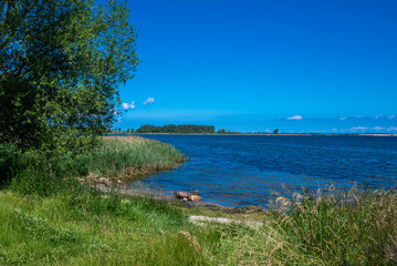 Blick auf die Wismarer Bucht in Hoben