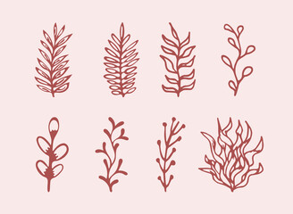 Design collection of trendy abstract leaves and plants. Isolated vector elements with different shapes on a simple background