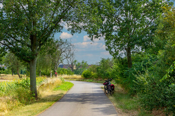 Fototapete bei efototapeten.de bestellen   