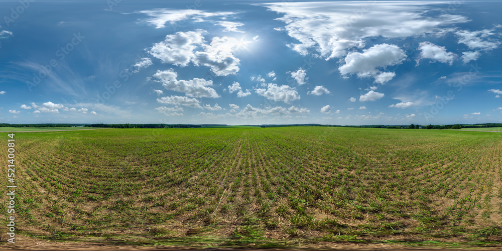 Wall mural full seamless 360 hdri panorama view among farming field with sun and clouds in overcast sky in equi
