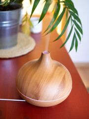 Wooden humidifier on a table