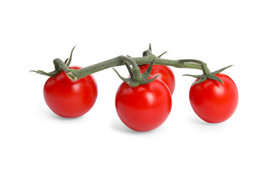 Branch of red ripe cherry tomatoes isolated on white